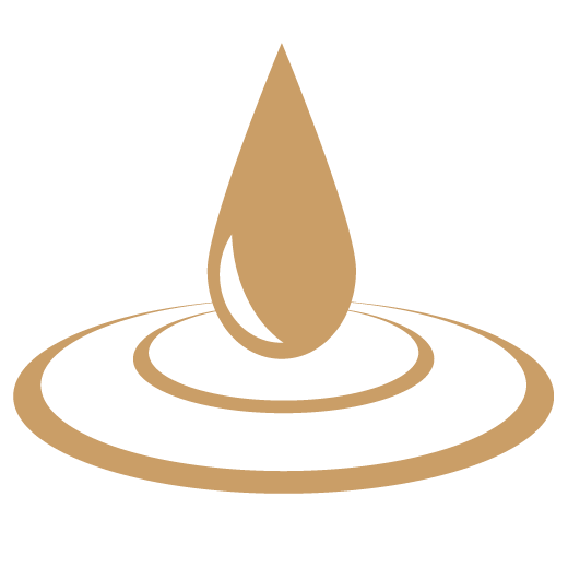 Icon_Mindtrick