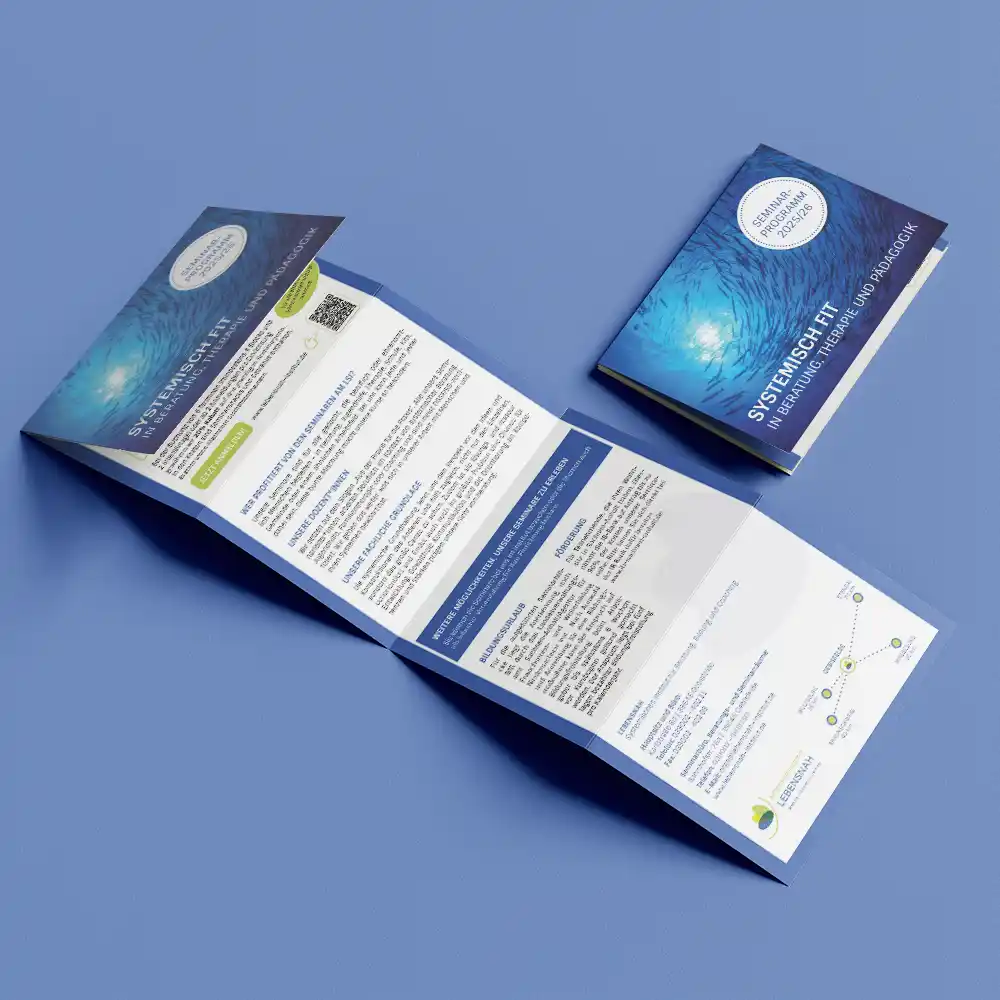 Falzflyer, Programm. Lebensnah systemisches Institut